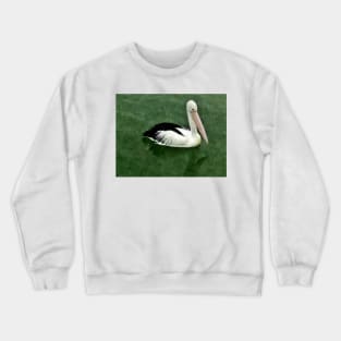 Pelican On the water Crewneck Sweatshirt